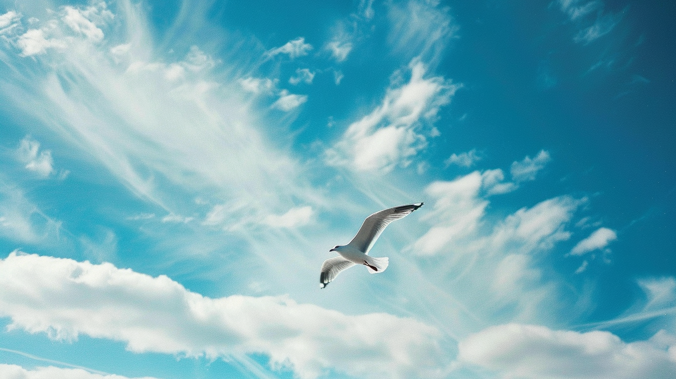 Exploring the Whims of Air Signs: Gemini, Libra, and Aquarius