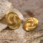ROCHE SPIRAL TITANIUM STEEL EARRINGS_1