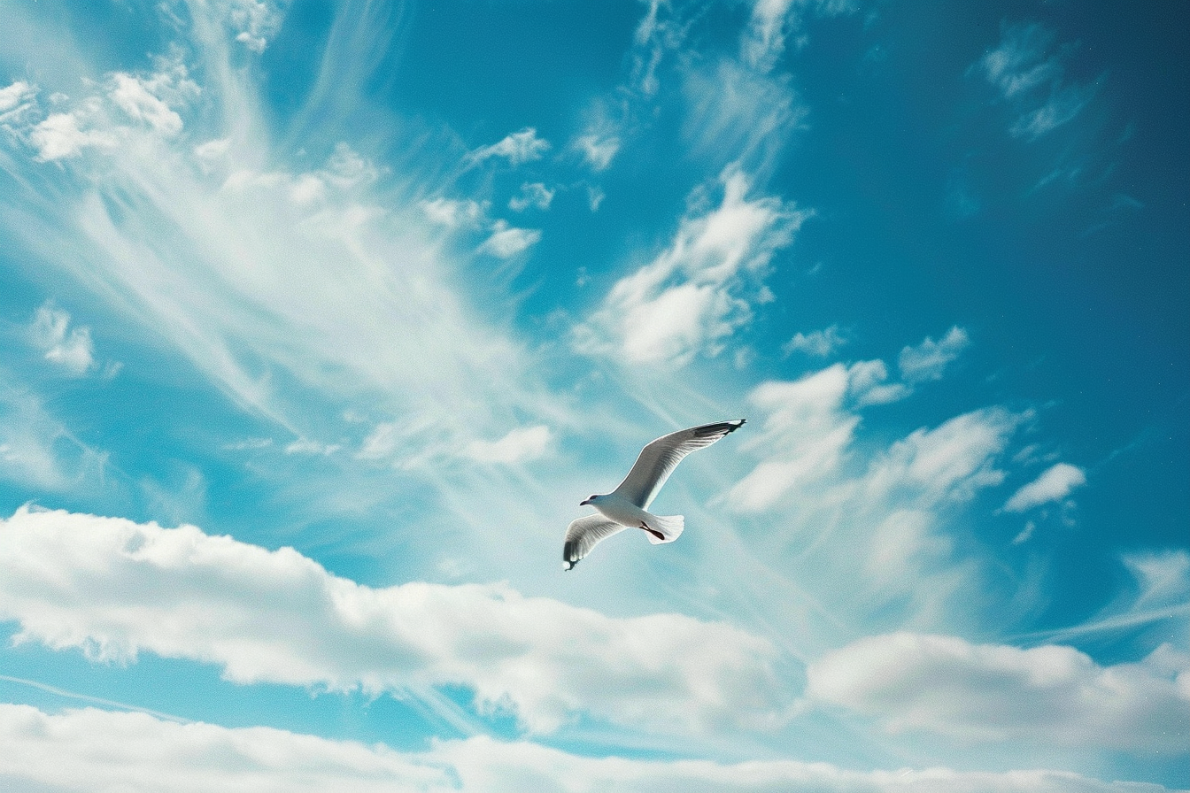 Exploring the Whims of Air Signs: Gemini, Libra, and Aquarius