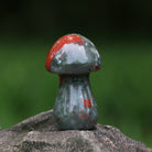 CRYSTAL MUSHROOM-8