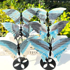 HYDROXYPHOSPHATE ALUMINUM BUTTERFLY-5