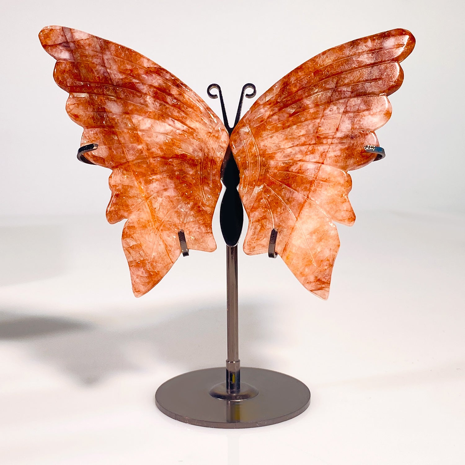 RED GUM FLOWER STONE BUTTERFLY-2