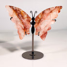 RED GUM FLOWER STONE BUTTERFLY-3