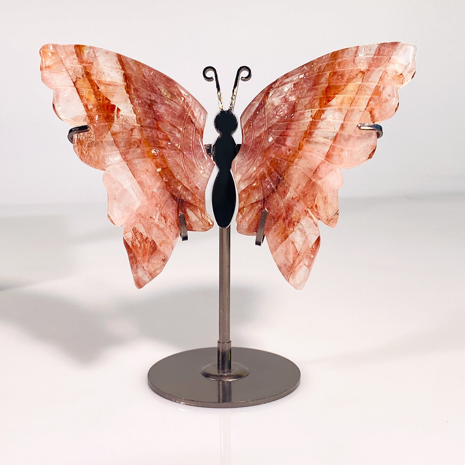 RED GUM FLOWER STONE BUTTERFLY-4