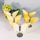 YELLOW CALCITE BUTTERFLY-3