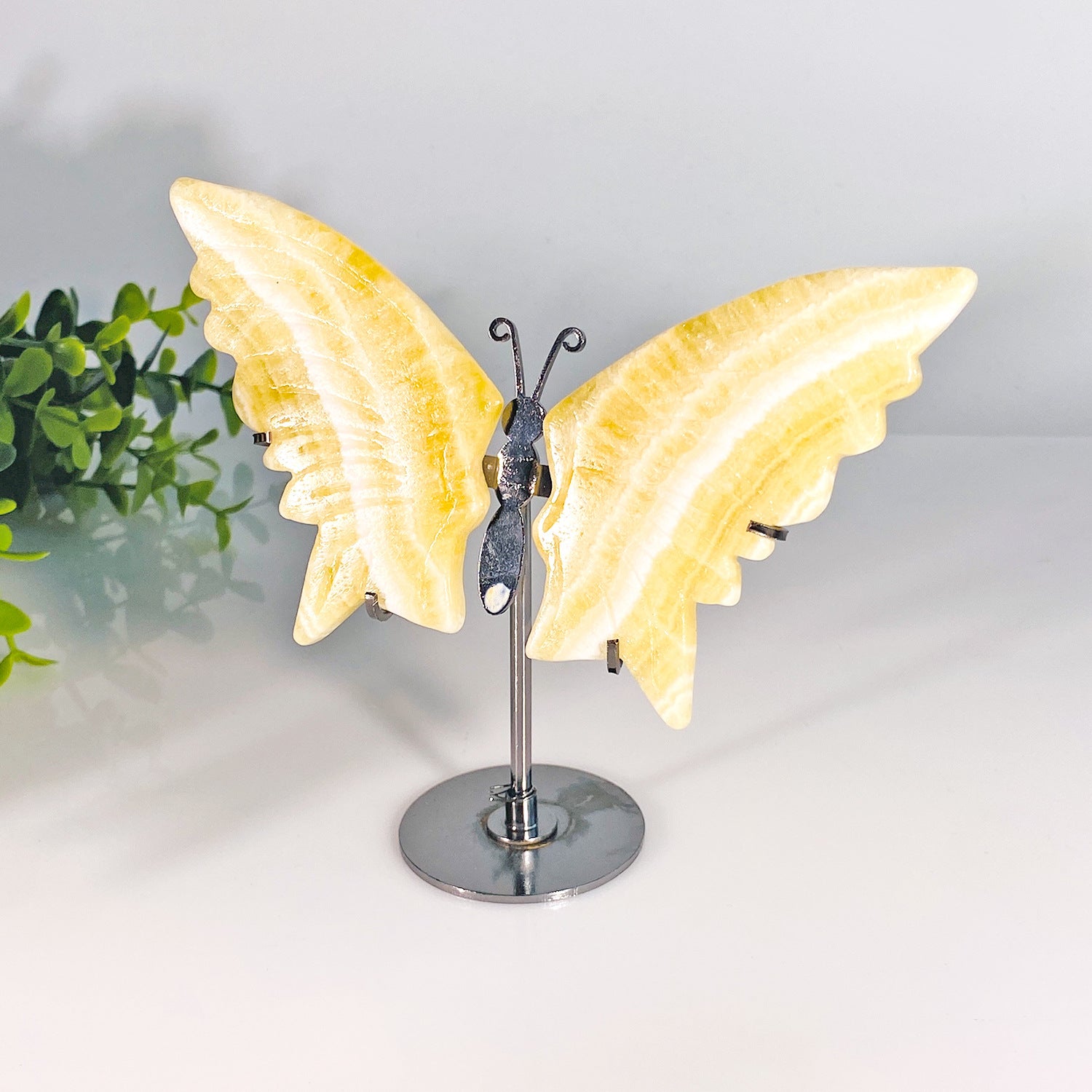 YELLOW CALCITE BUTTERFLY-4